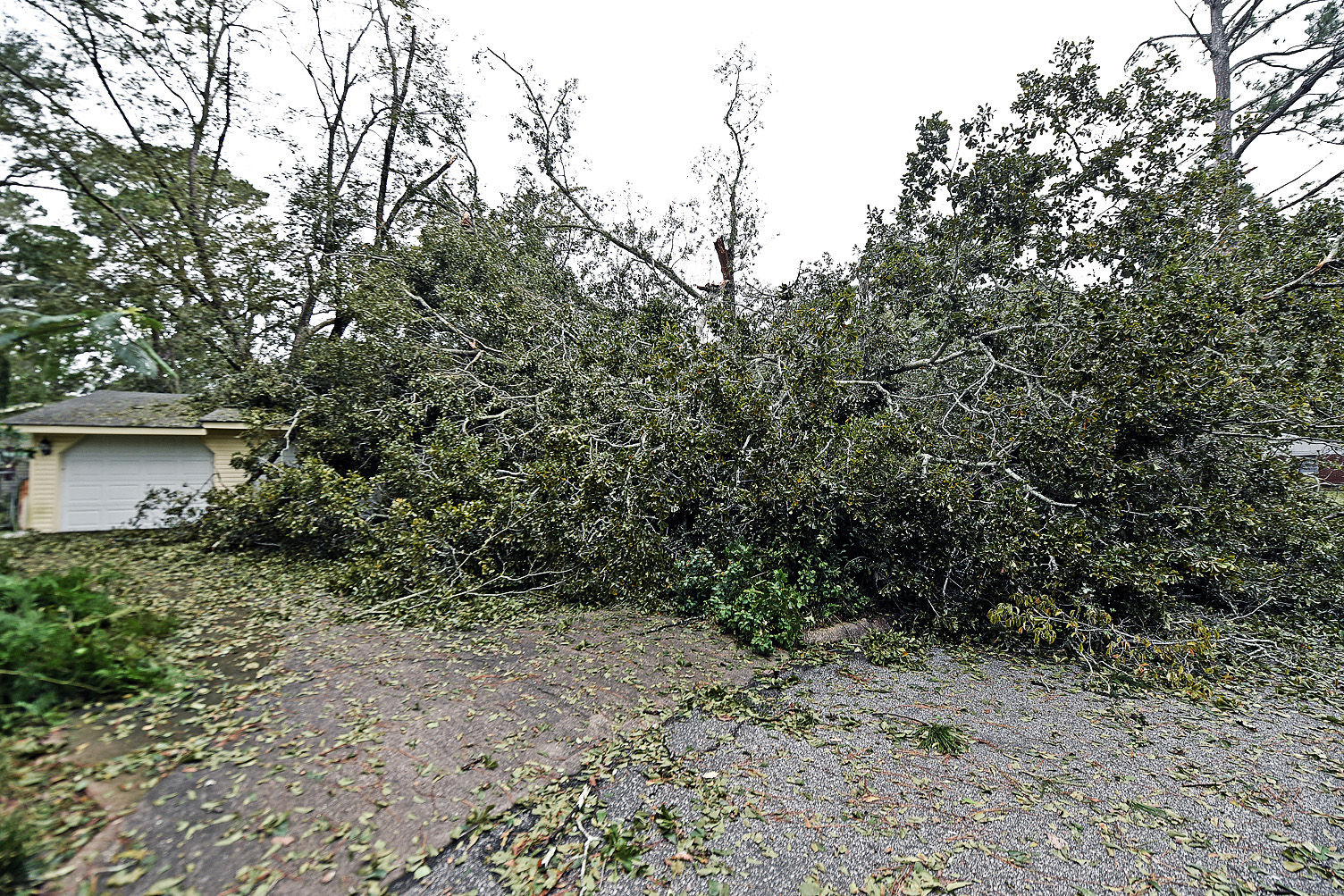 Hurricane Michael aftermath